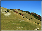 foto Mulatiera del Covolo